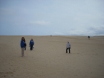 Jockey's Ridge
